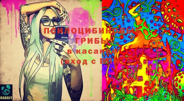 mix Армянск