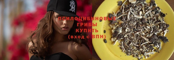 мяу мяу мука Аркадак