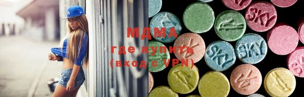 мдпв Арсеньев
