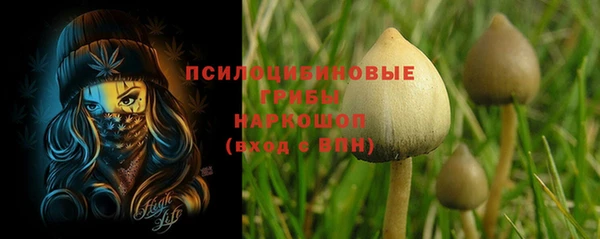 мяу мяу мука Аркадак
