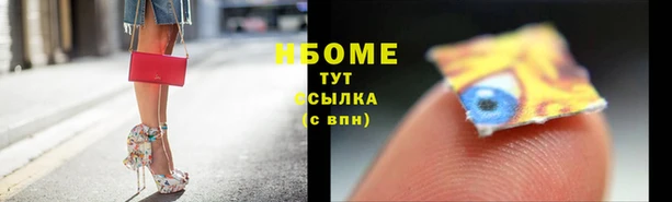 мяу мяу мука Аркадак