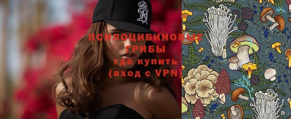 мяу мяу мука Аркадак